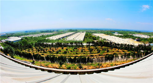 謀定后動(dòng)譜華章，氣勢如虹唱大風(fēng) 論新時(shí)代景區(qū)管理的智慧與氣魄